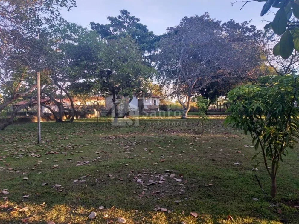 Sítio, 2 quartos, 300000 m² - Foto 3