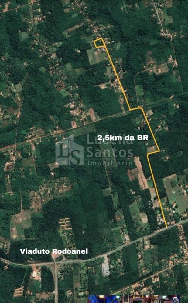 Sítio, 2 quartos, 10000 m² - Foto 2