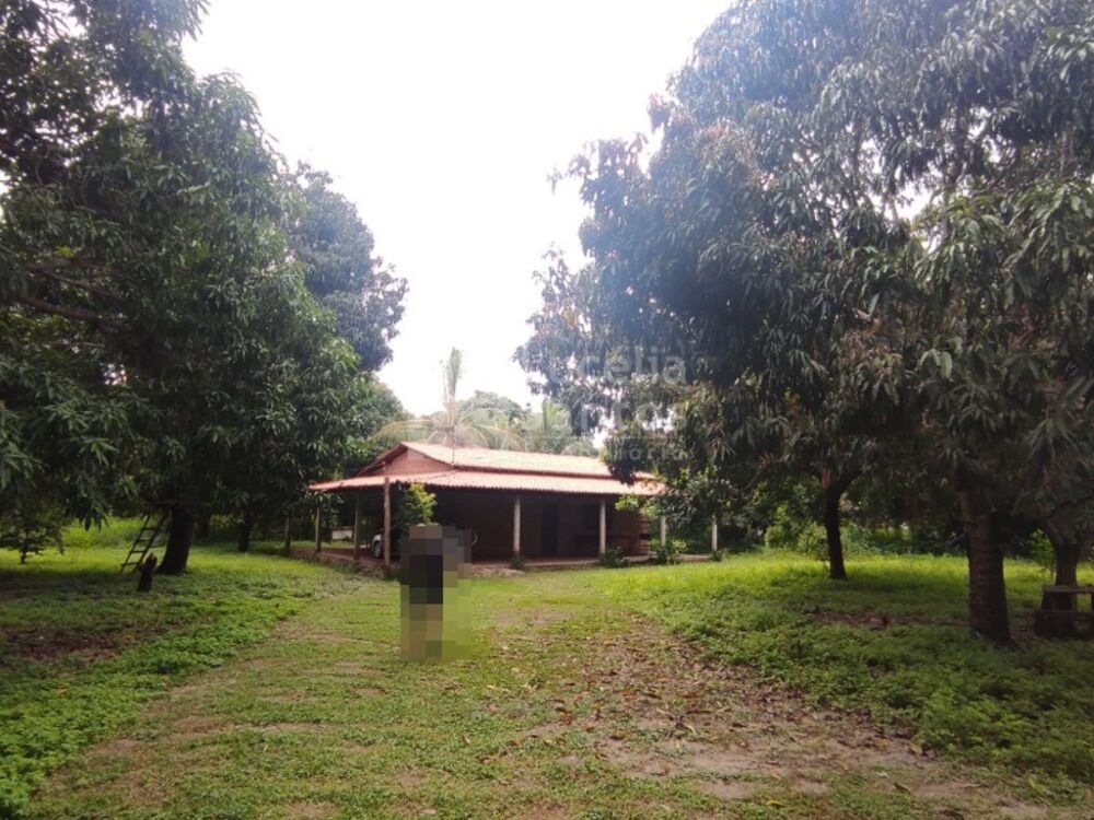 Sítio, 2 quartos, 10000 m² - Foto 1