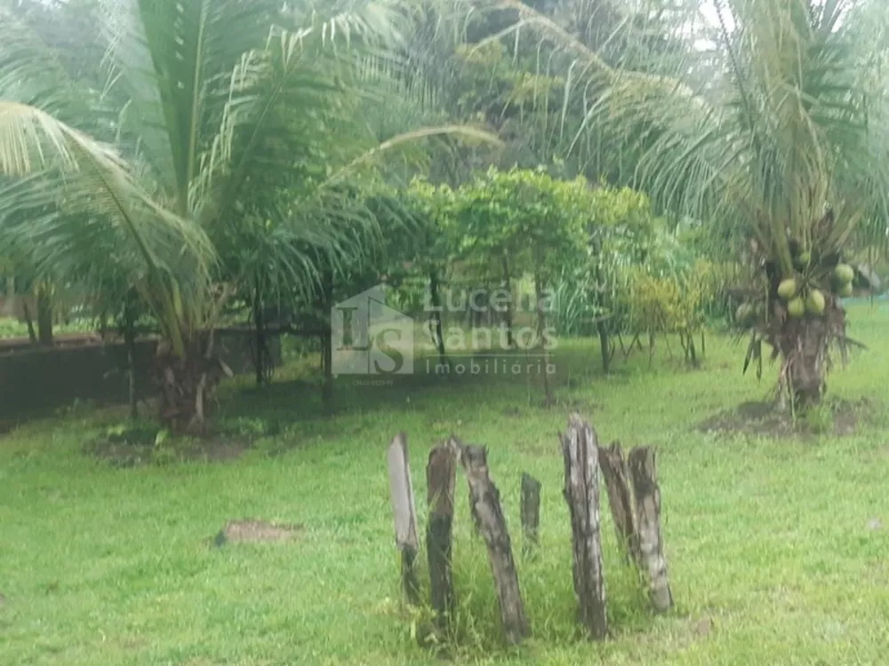 Sítio, 2 quartos - Foto 3