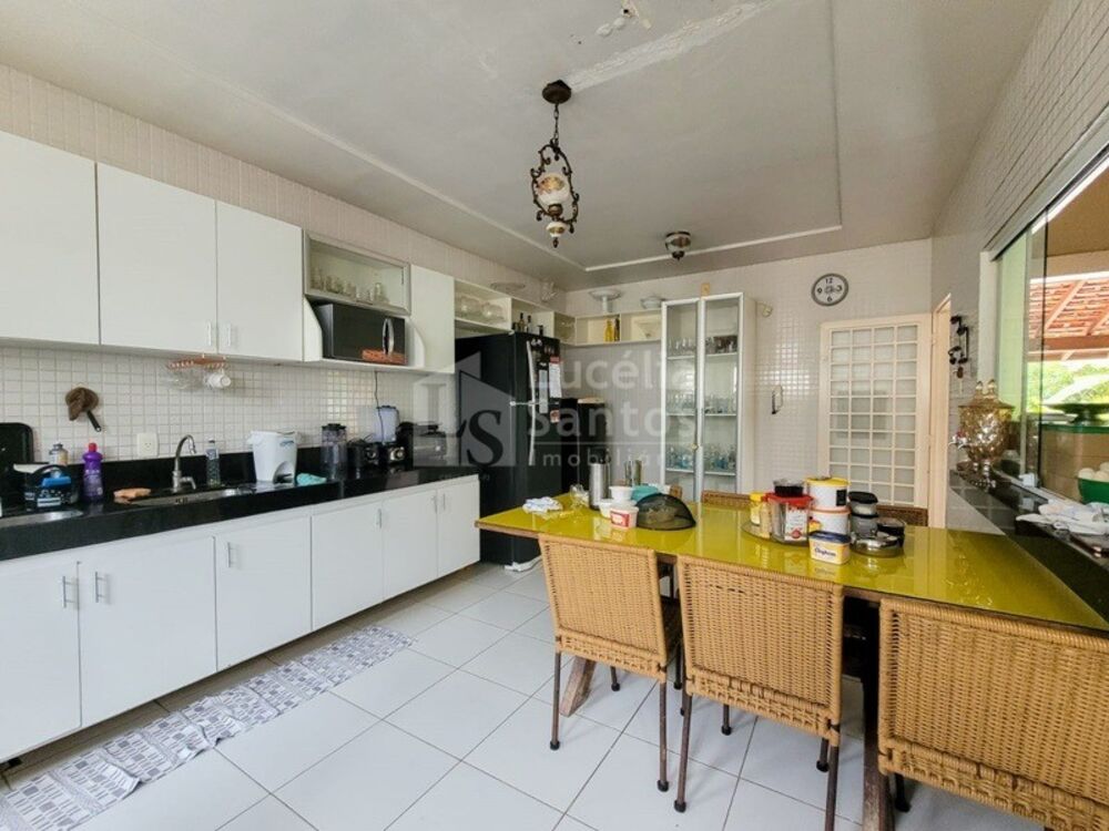 Casa, 4 quartos, 490 m² - Foto 6