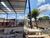 Depósito-Galpão, 918 m² - Foto 5