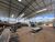Depósito-Galpão, 918 m² - Foto 7