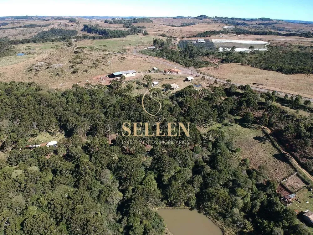 Terreno, 2 hectares - Foto 14
