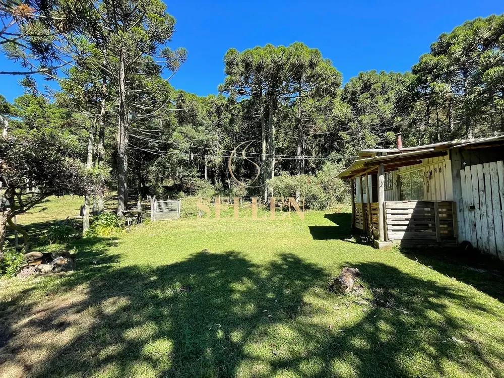 Terreno, 2 hectares - Foto 17