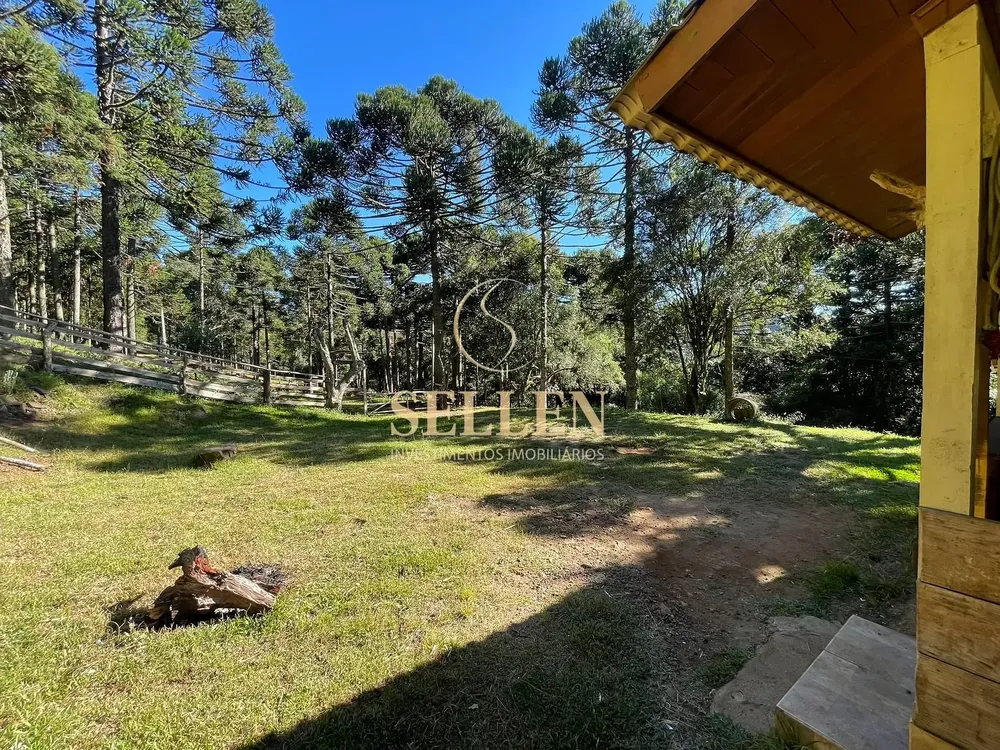 Terreno, 2 hectares - Foto 18