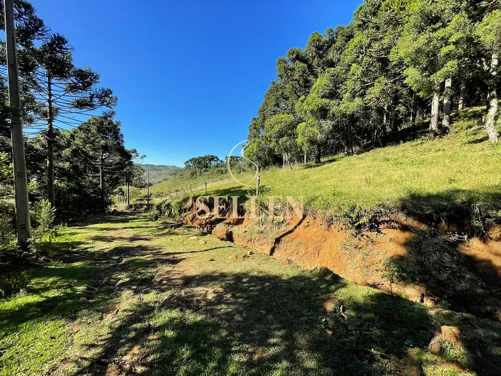 Terreno, 2 hectares - Foto 19