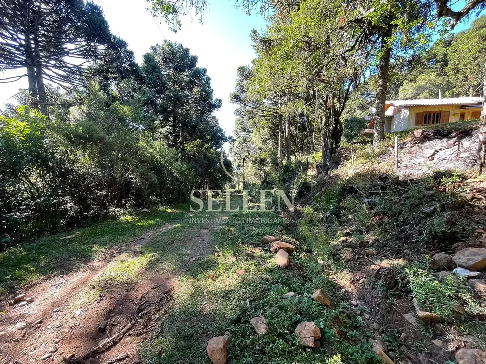 Terreno, 2 hectares - Foto 1