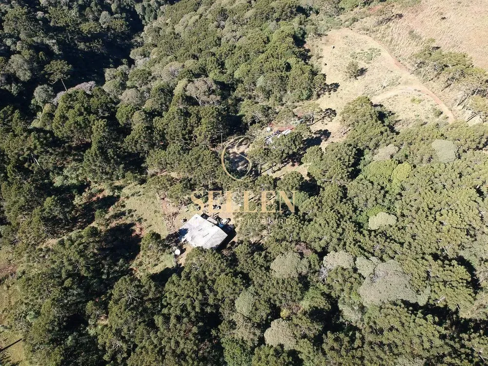 Terreno, 2 hectares - Foto 11