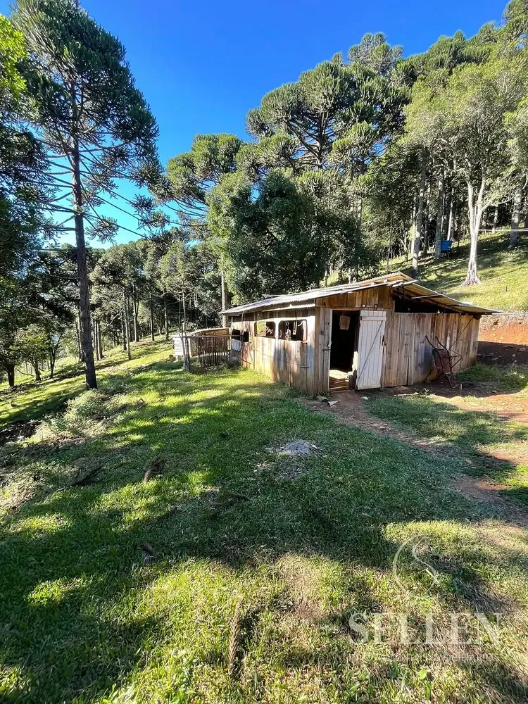 Terreno, 2 hectares - Foto 5