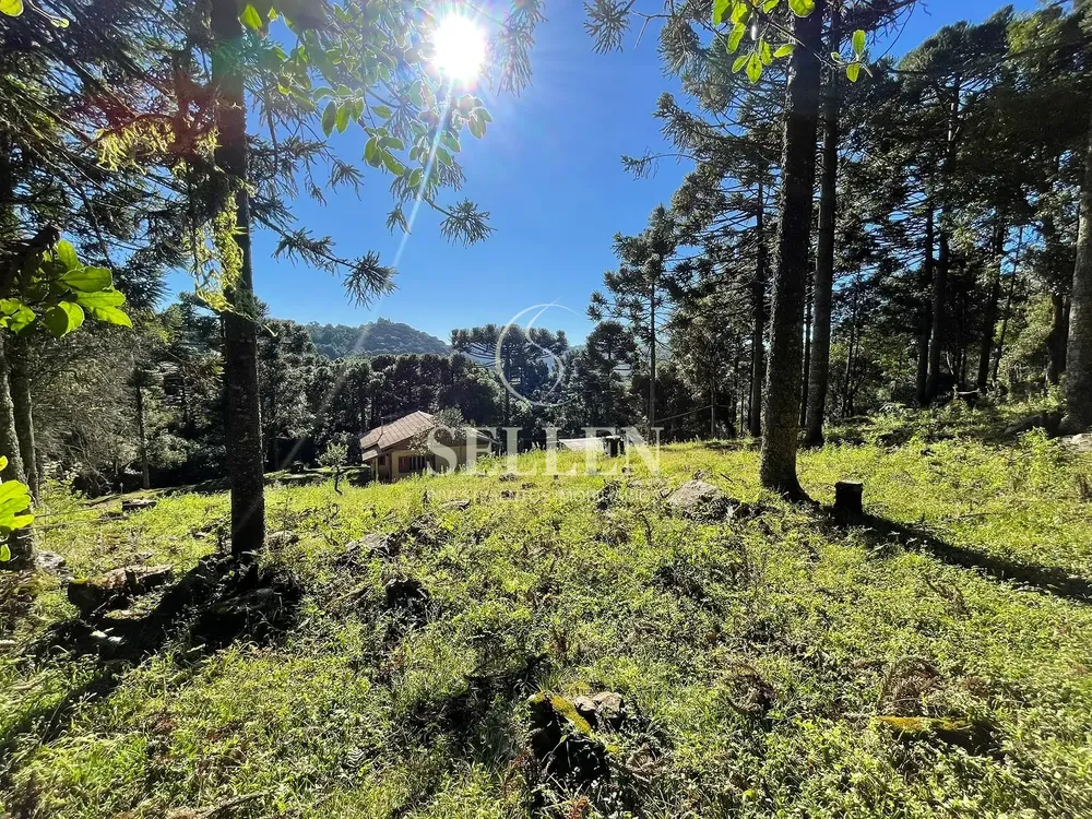 Terreno, 2 hectares - Foto 2