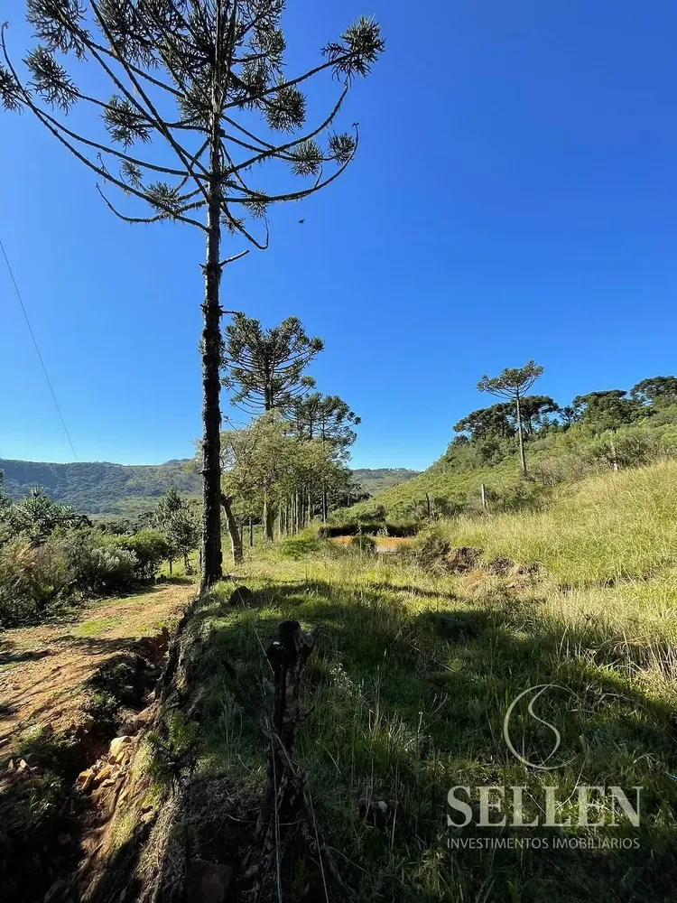 Terreno, 2 hectares - Foto 6
