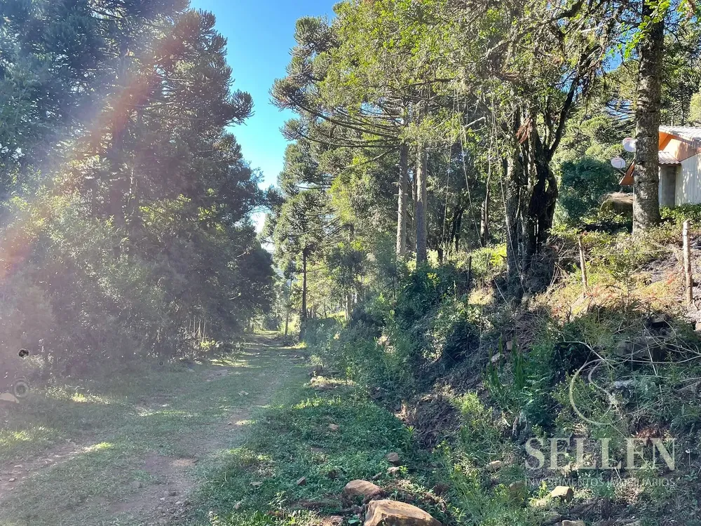 Terreno, 2 hectares - Foto 7