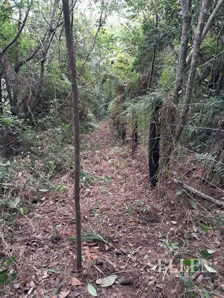 Terreno, 1 hectares - Foto 10
