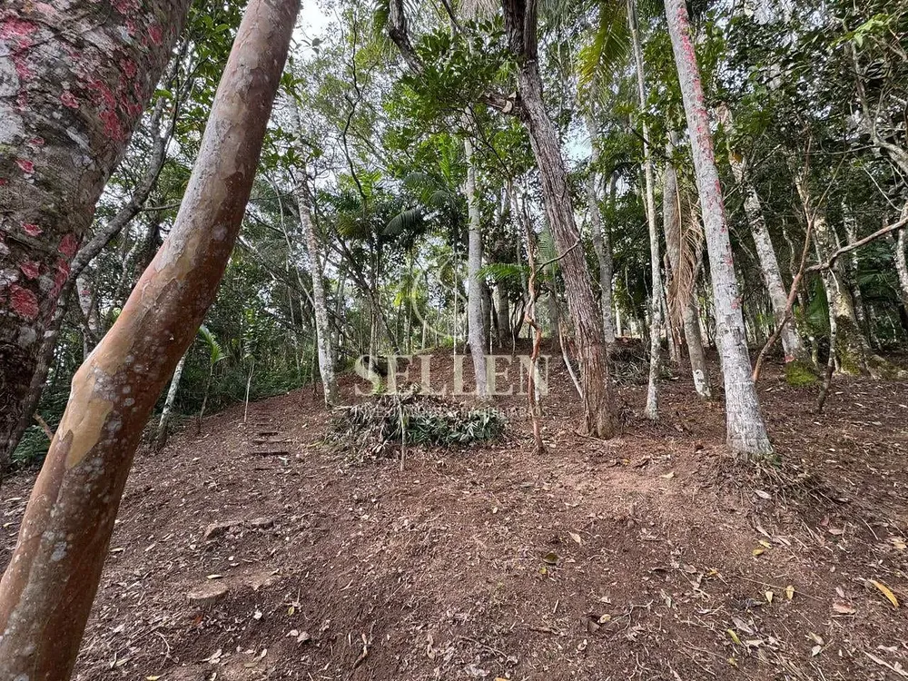 Terreno, 1 hectares - Foto 3