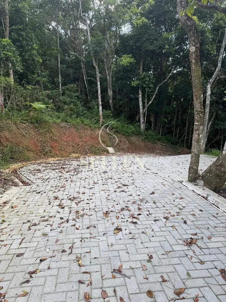 Terreno, 1 hectares - Foto 1