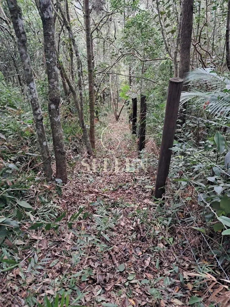 Terreno, 1 hectares - Foto 2