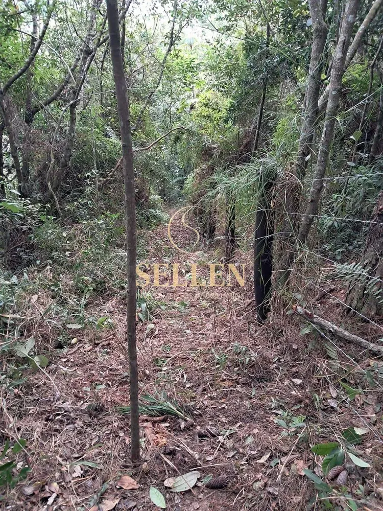 Terreno, 1 hectares - Foto 19