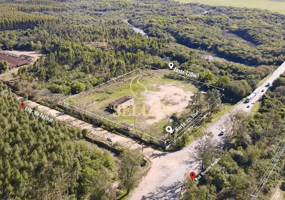 Terreno, 3 hectares - Foto 13