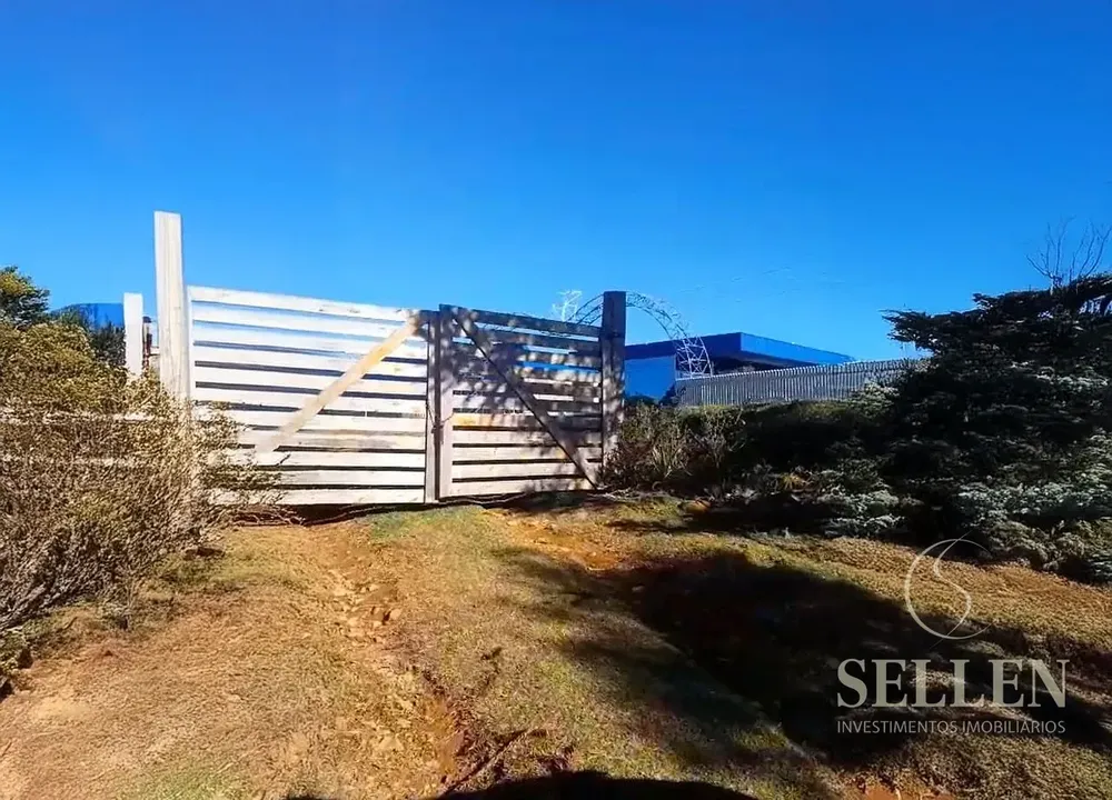 Sítio, 3 quartos, 10000 m² - Foto 5
