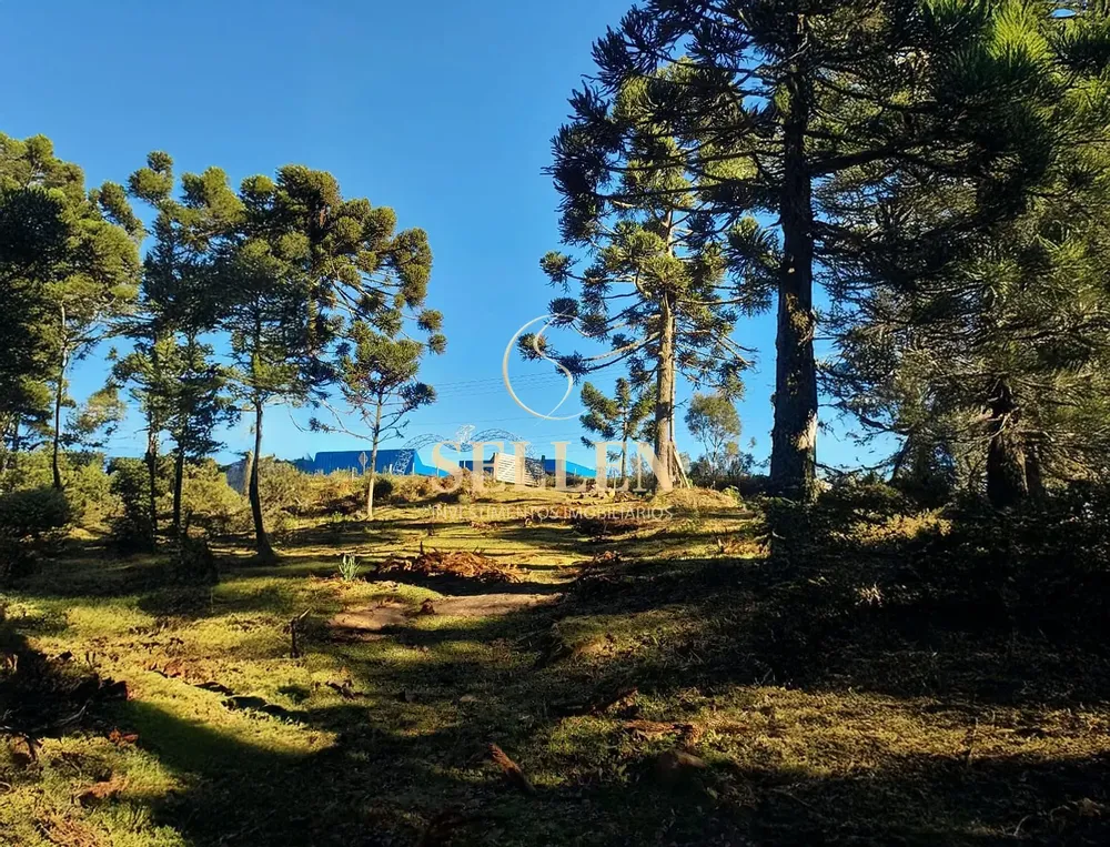 Sítio, 3 quartos, 10000 m² - Foto 11