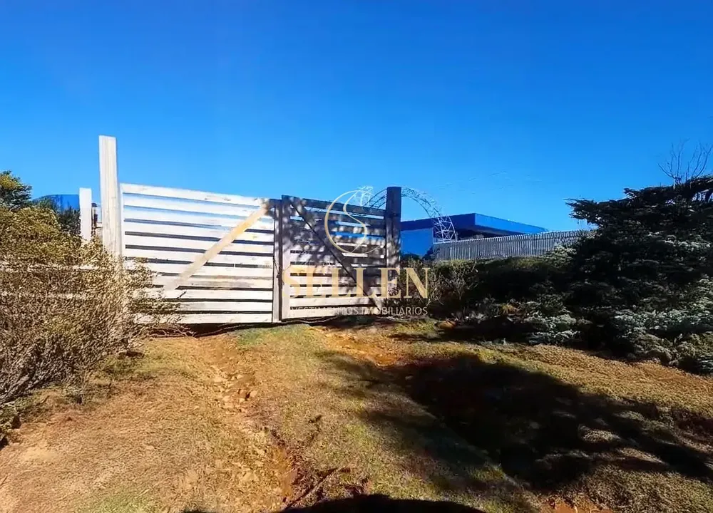 Sítio, 3 quartos, 10000 m² - Foto 10