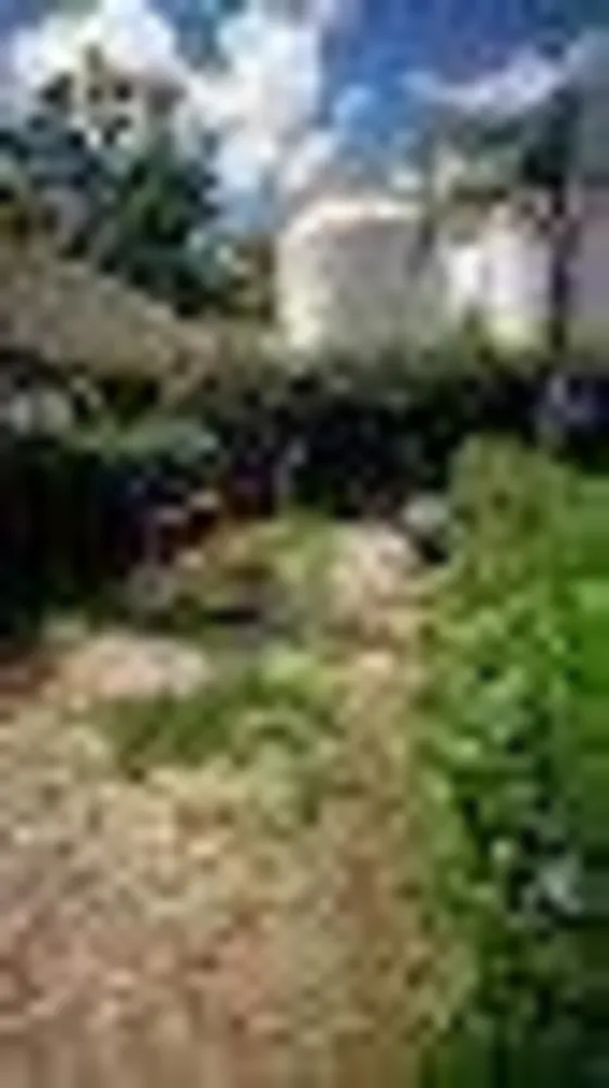 Apartamento, 2 quartos, 47 m² - Foto 12