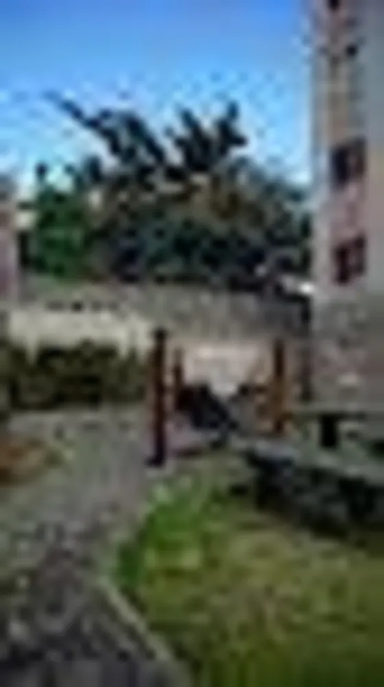 Apartamento, 2 quartos, 47 m² - Foto 23