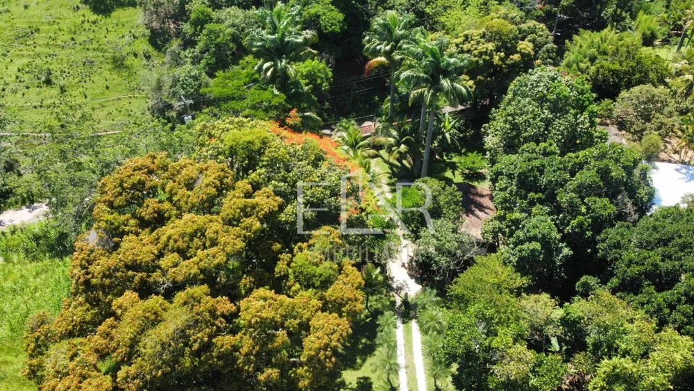 Sítio, 2 quartos, 4500 m² - Foto 28