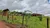 Fazenda-Sítio-Chácara, 2 hectares - Foto 4