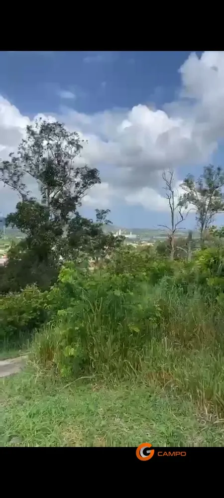 Terreno, 459 m² - Foto 5