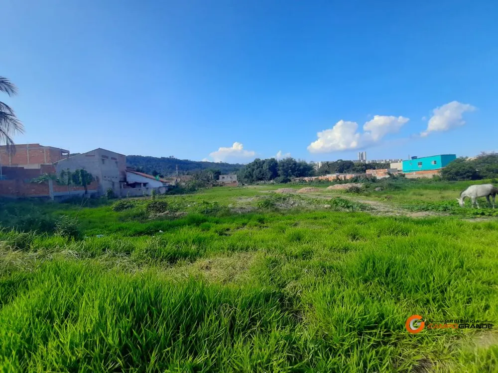 Terreno, 230 m² - Foto 2