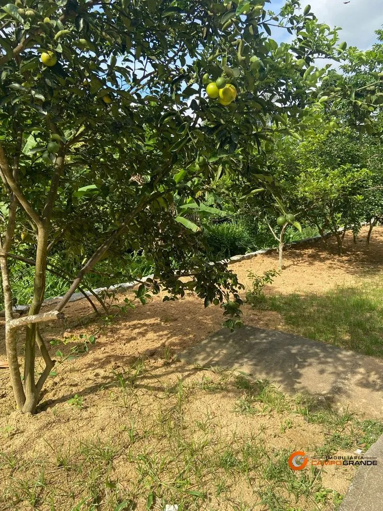 Sítio, 3 quartos, 5 hectares - Foto 39