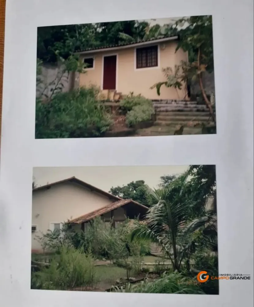 Chácara, 3 quartos, 3000 m² - Foto 3