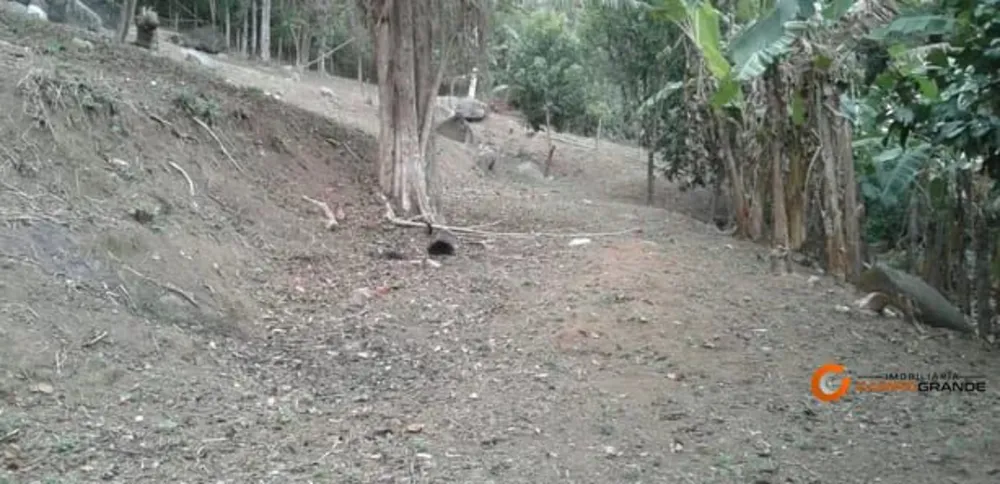 Loteamento e Condomínio, 1500 m² - Foto 5
