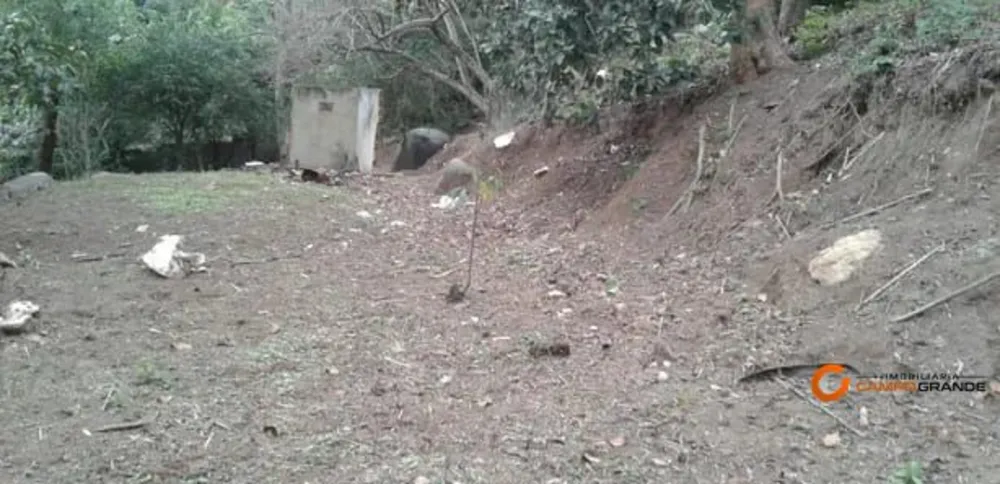 Loteamento e Condomínio, 1500 m² - Foto 2