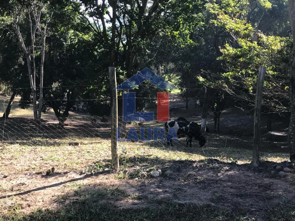 Chácara, 3 quartos, 5100 m² - Foto 6