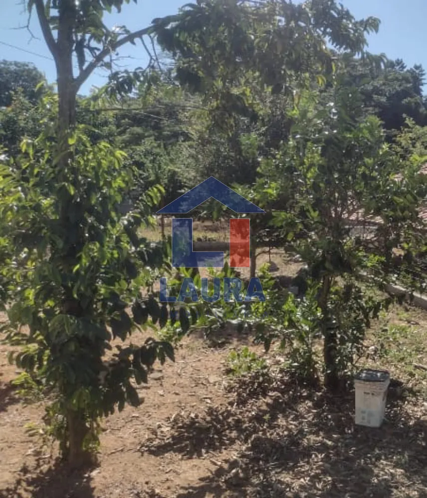 Terreno, 370 m² - Foto 6