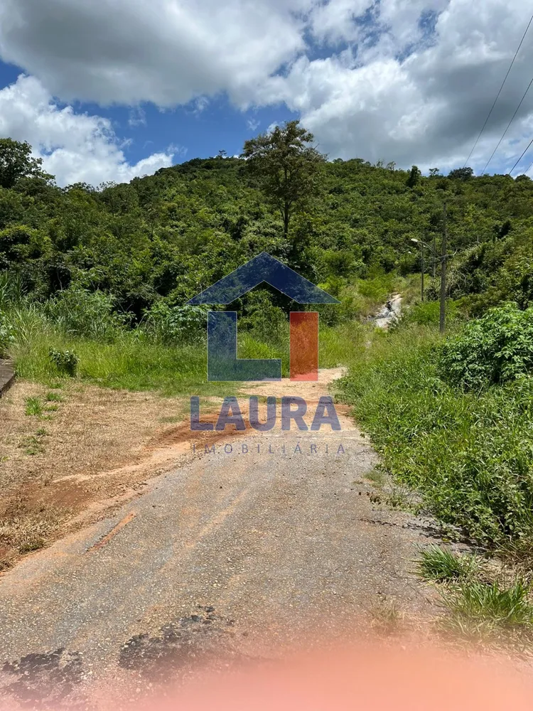 Chácara, 6500 m² - Foto 4