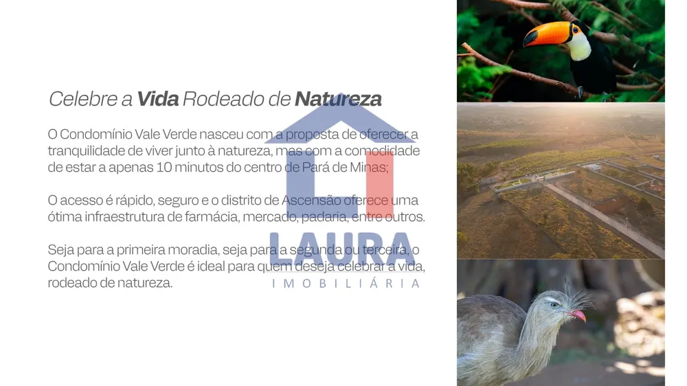 Terreno, 1000 m² - Foto 4