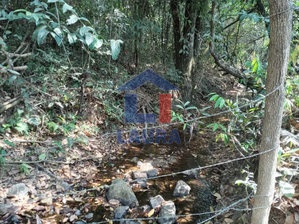 Sítio, 3 quartos, 2 hectares - Foto 8