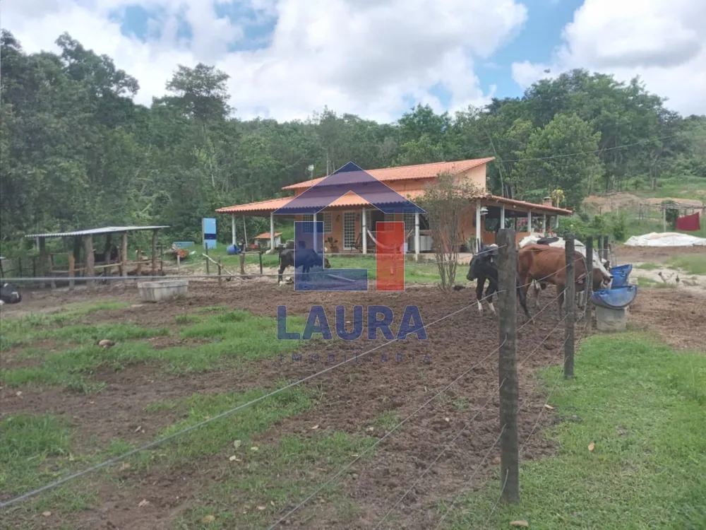 Sítio, 3 quartos, 2 hectares - Foto 1