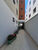 Apartamento, 2 quartos, 149 m² - Foto 12