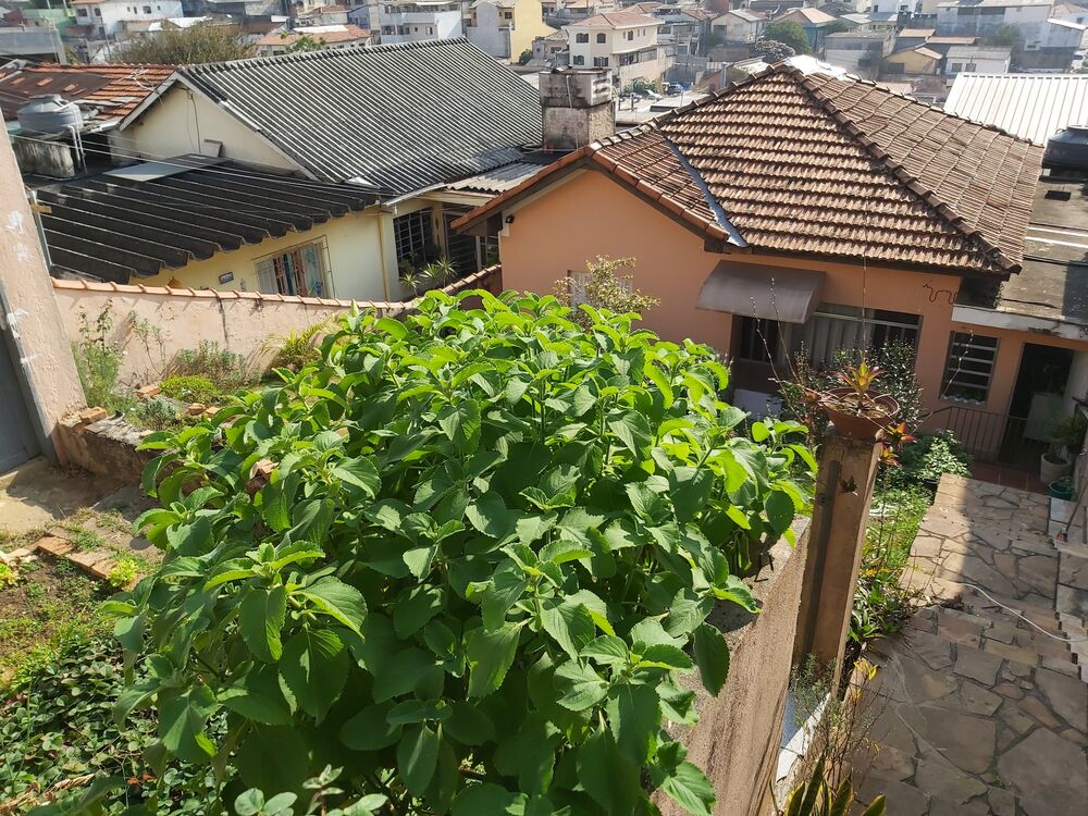 Terreno, 250 m² - Foto 15