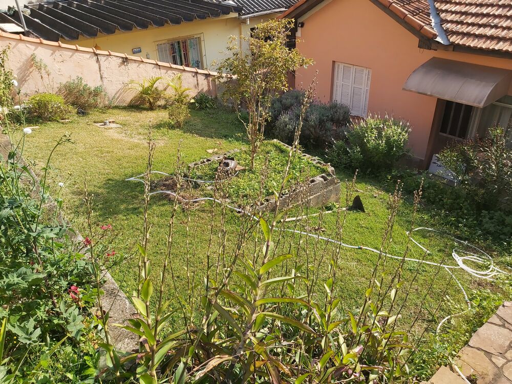 Terreno, 250 m² - Foto 11