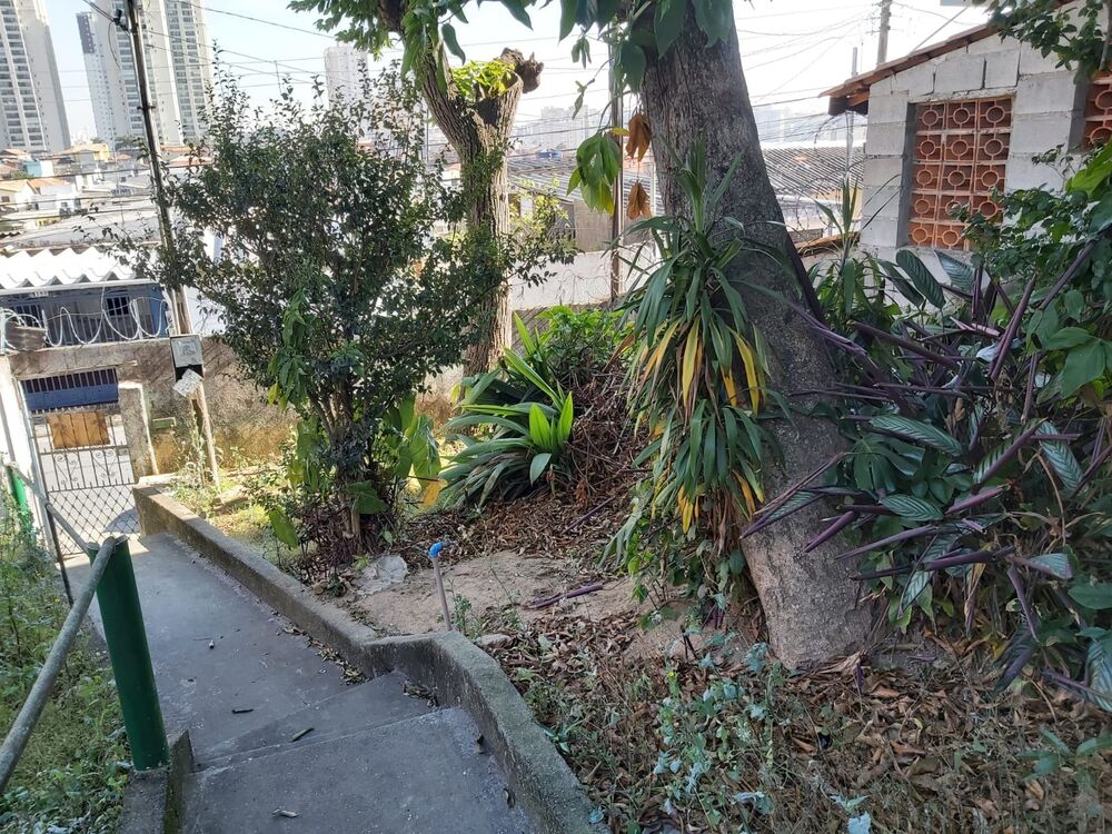 Terreno, 250 m² - Foto 3