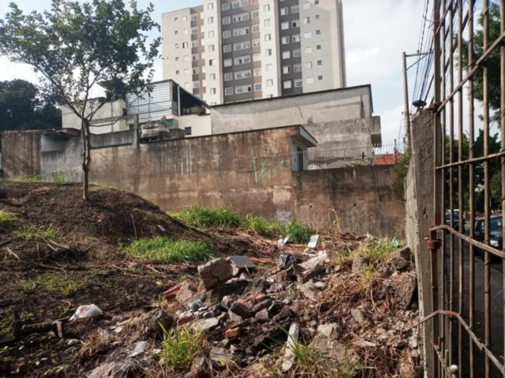 Terreno, 1000 m² - Foto 1
