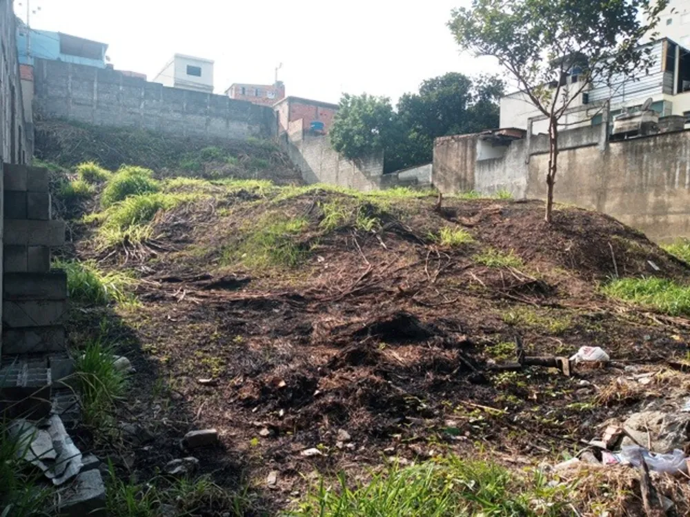 Terreno, 1000 m² - Foto 3