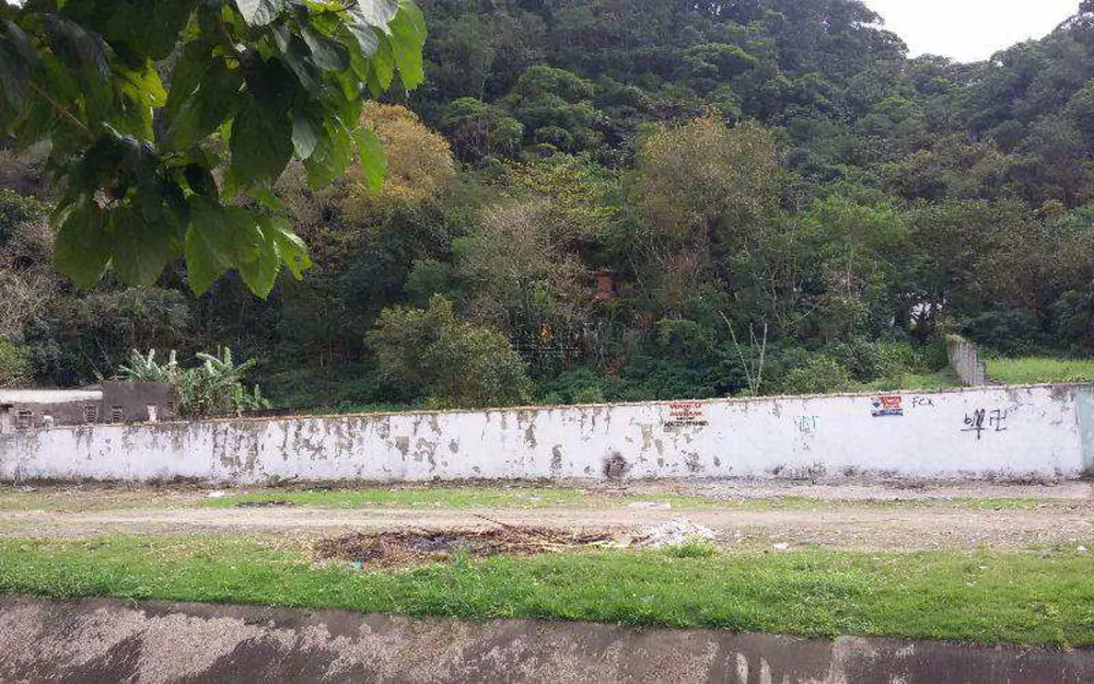 Terreno, 3000 m² - Foto 4