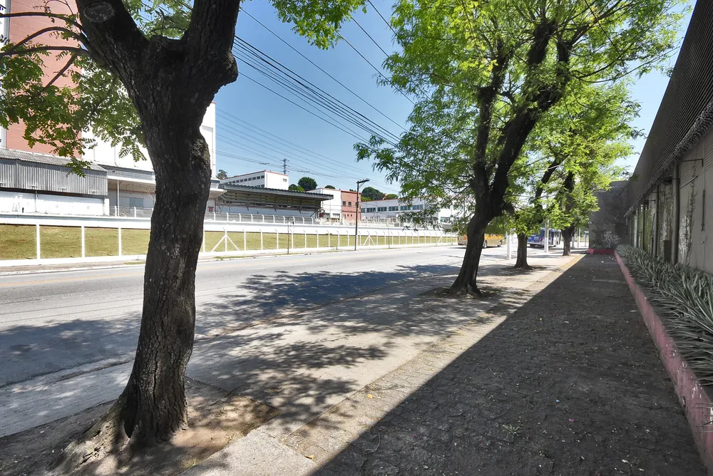 Prédio Inteiro, 1709 m² - Foto 6